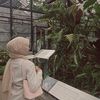 __roswalie