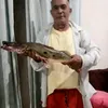 tiaozinho235