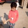 husain.ali50