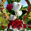 frelyn338