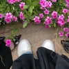 wat_tgr