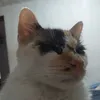 nadilo_5700