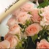 lamar__37