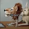 rip_luffyisgonnawild