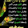 user7328113811221