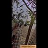 esraaabdelazez7