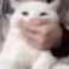 4steff_