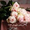 aminaelsayed668