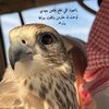 دحم🪶🖤.