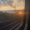 vioslmnw