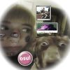 user19372917307