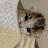 sal..120710