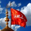 malikmuhammadalii51214