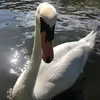 atmpapmtm
