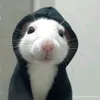 jairapatootie