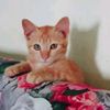 norzilawati.wati5