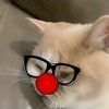 harzzon