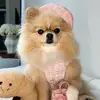 bonthepom