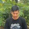 terndyfrengky