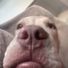 rhiley_4563