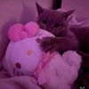 diana._234a