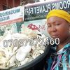 mushroomplanetfarm