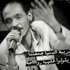 user8313481911810