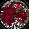 israt_ismat