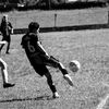 mateeoo_1911
