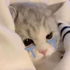 ily_le_3