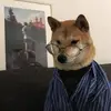 whyyydoyou_wanttoknow