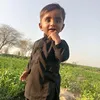 syedraqibbukhari