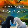 user1982343581283