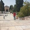 aref_najjar