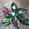 blancahernandez2772