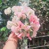 umme.salma388