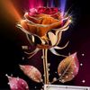 user540115462217