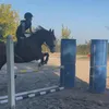 ____ali_23