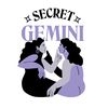 _secretgemini_