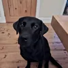 ihaveafather0