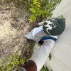 jlaannd