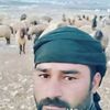 alaahussam3325