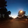 mapacheperez775