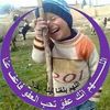 hesham.alteib