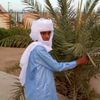 hassantiman6