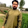 alikhanjan409