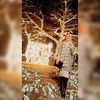 shoroukmohamed2637