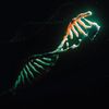 CALLEN_MUSIC