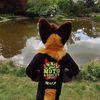 traszfoxy