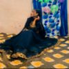 khadiza.nur06